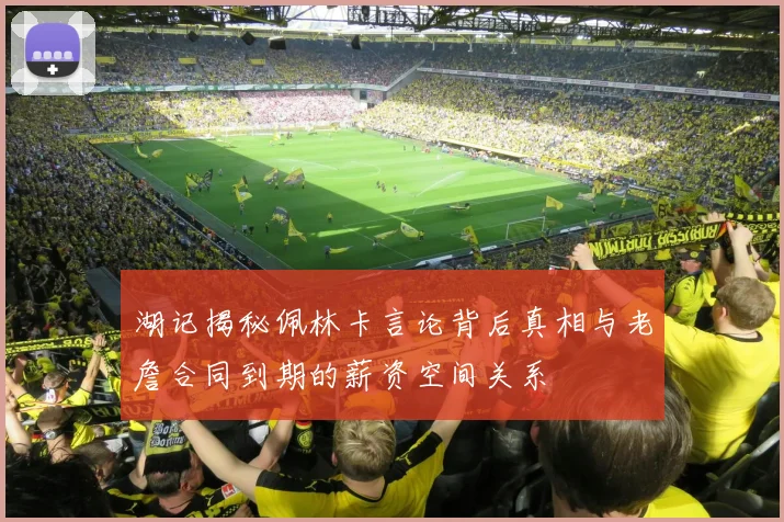 湖记揭秘佩林卡言论背后真相与老詹合同到期的薪资空间关系